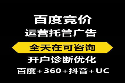 SEM服务案例：打造行业领先品牌